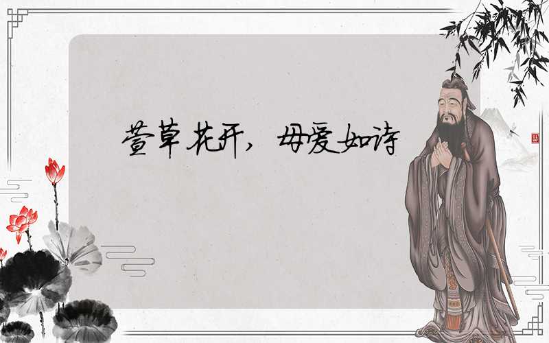 萱草花开,母爱如诗